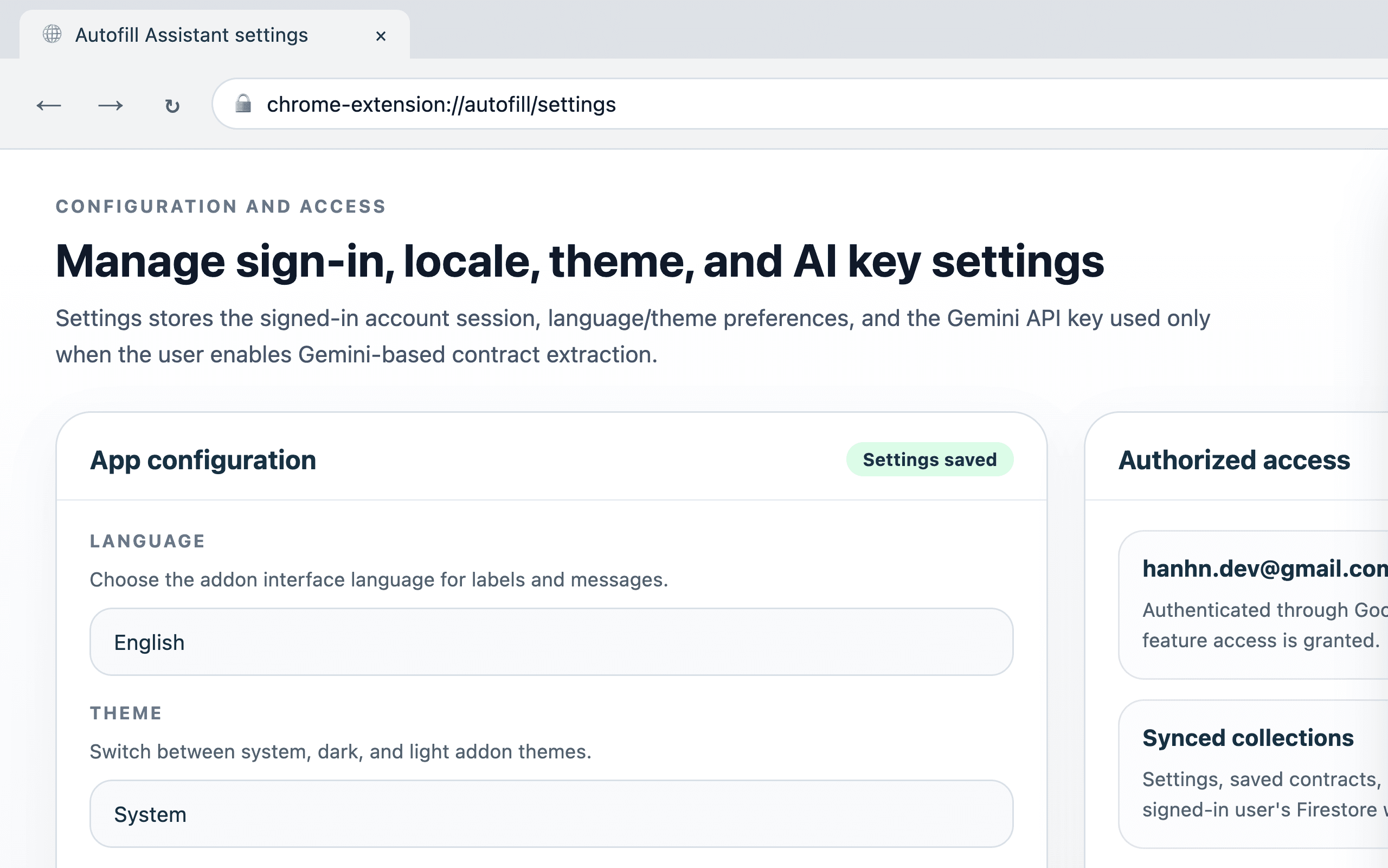 Autofill addon Settings panel showing language, theme, Gemini API key, and authorized access information.